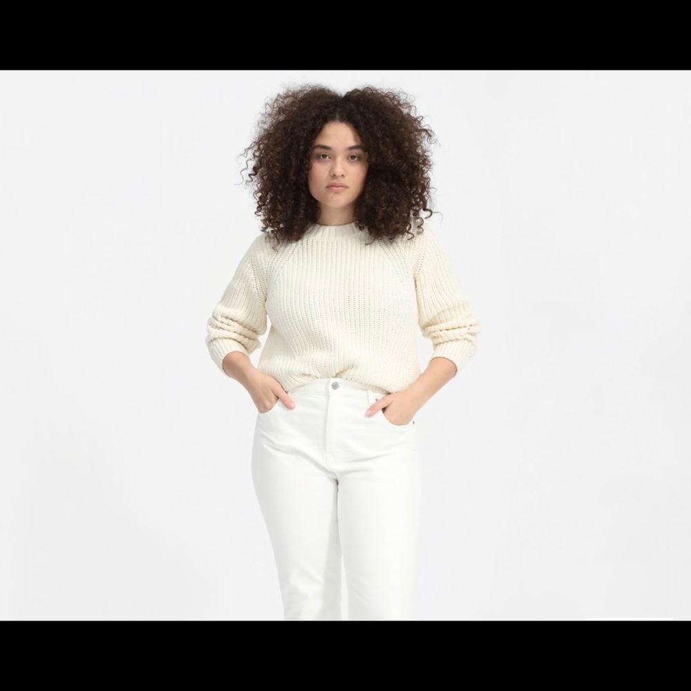 New Everlane texture cotton crew sweater